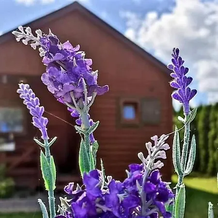 Letniskowe Lawenda